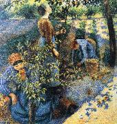 Camille Pissarro, Apple picking